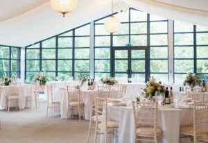 happy wedding guests