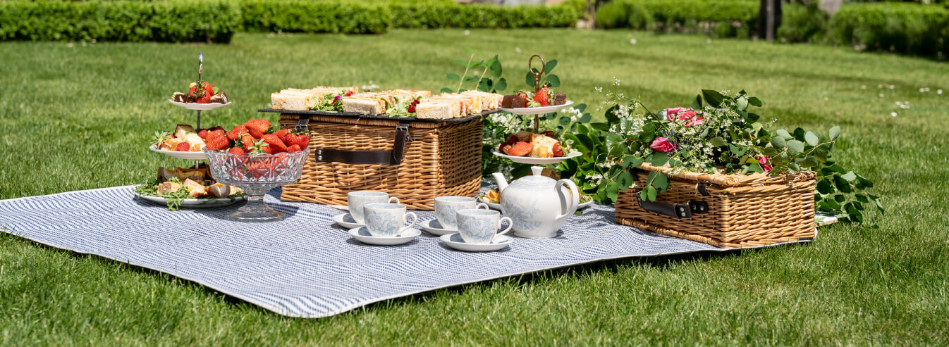 picnic at extended wedding venue